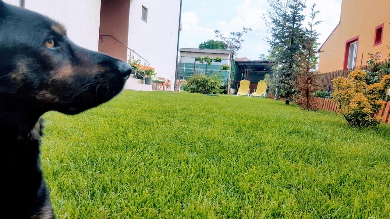 Villa Sanitas Techirghiol Buitenkant foto