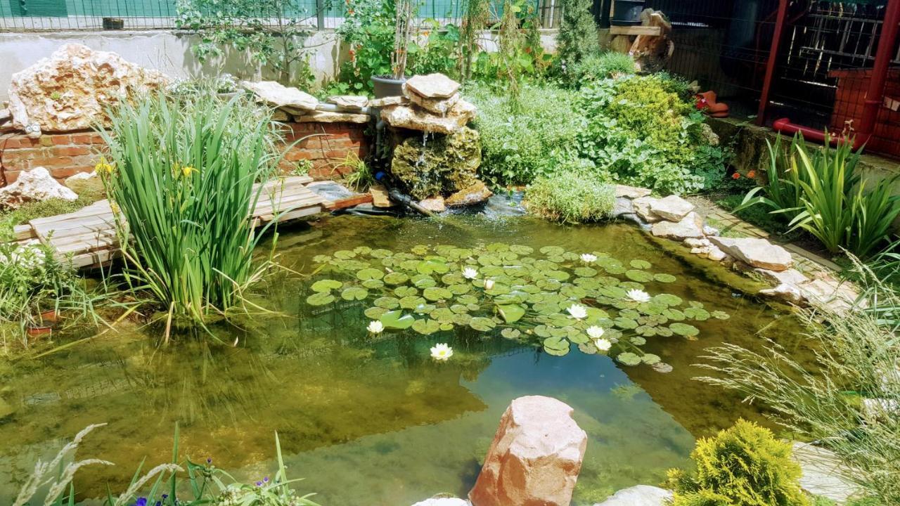 Villa Sanitas Techirghiol Buitenkant foto
