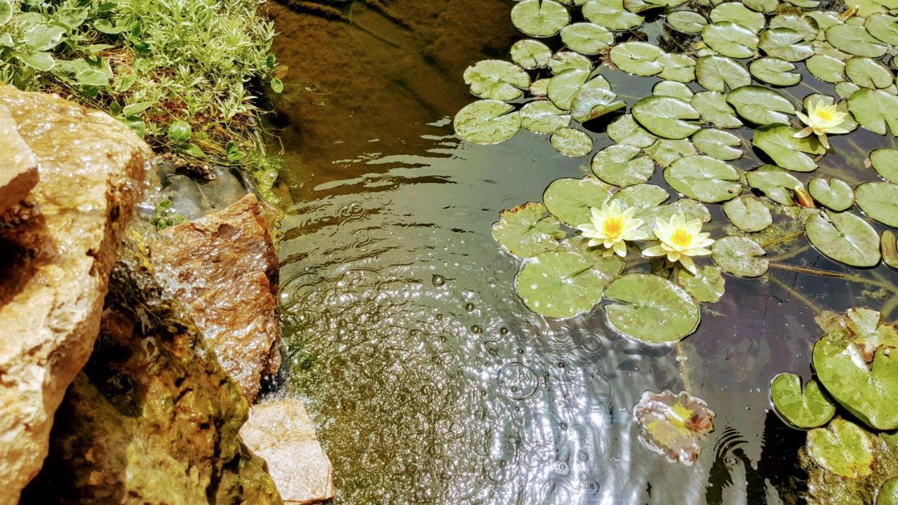 Villa Sanitas Techirghiol Buitenkant foto